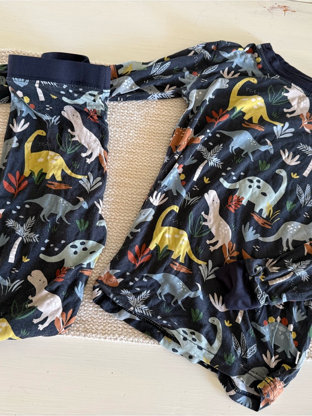 Little Sleepies Dinosaur Print Pajama Set